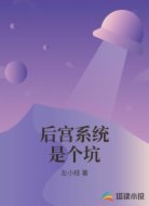 后宫系统是个坑