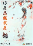 你是恩赐我是劫