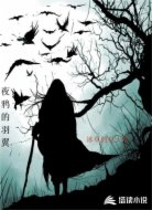 夜鸦的羽翼