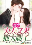 贺少,夫人又来抱大腿了