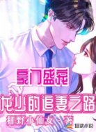 豪门盛宠:龙少的追妻之路