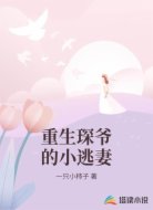 重生琛爷的小逃妻