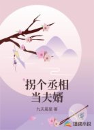 拐个丞相当夫婿