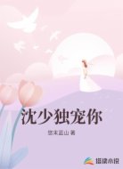沈少独宠你