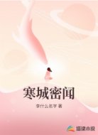 寒城密闻