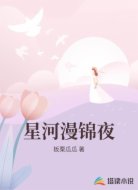 星河漫锦夜