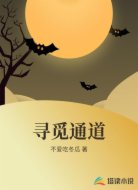 寻觅通道