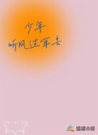 少年听风过耳去