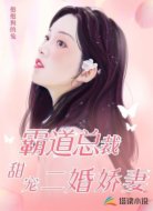 霸道总裁甜宠二婚娇妻