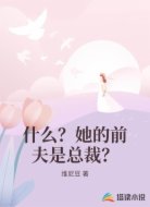 什么？她的前夫是总裁？