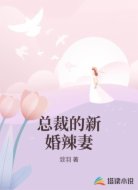 总裁的新婚辣妻