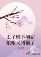 太子殿下侧妃娘娘又闯祸了