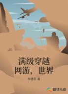 满级穿越网游,世界