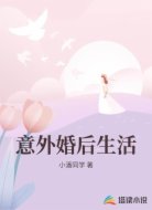 意外婚后生活