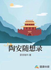 陶安随想录