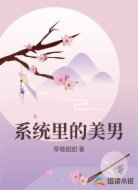 系统里的美男