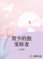 贺少的独宠娇妻