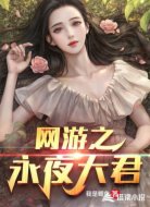 网游之永夜大君
