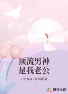顶流男神是我老公