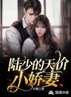 陆少的天价小娇妻