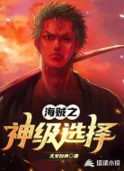海贼之神级选择