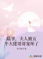 陆爷,夫人被五个大佬哥哥宠坏了
