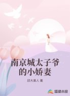 南京城太子爷的小娇妻