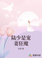 陆少是宠妻狂魔
