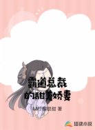霸道总裁的甜美娇妻