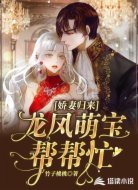 娇妻归来:龙凤萌宝帮帮忙