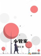 小管家