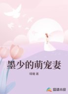 墨少的萌宠妻
