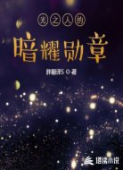 光之人的暗耀勋章