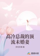 高冷总裁的顶流未婚妻