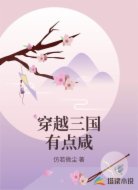 穿越三国有点咸