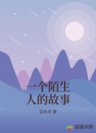 一个陌生人的故事