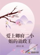 爱上卿府二小姐的聂政王