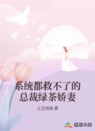 系统都救不了的总裁绿茶娇妻