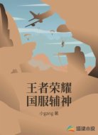 王者荣耀国服辅神