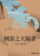 网游之天陨者