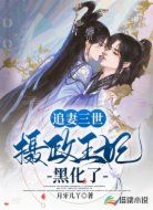 追妻三世:摄政王妃黑化了