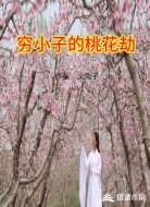 窮小子的桃花劫