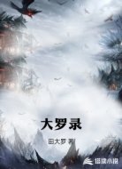 大罗录