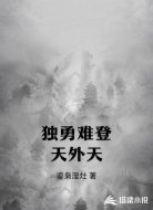 独勇难登天外天
