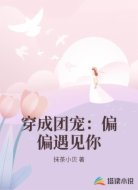 穿成团宠：偏偏遇见你