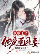 妖孽王爷独宠医匪妻