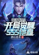 游戲時代之開局覺醒SSS鎧皇