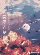 不切实际的梦