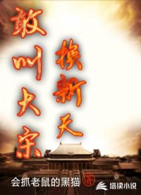 敢叫大宋换新天
