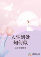 人生到处知何似